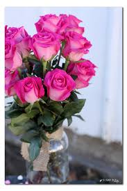 Kavachi is in a remote part of the solomon how did it feel to discover sharks inside a volcano? Fresh Flowers In Crafts Sugar Bee Crafts