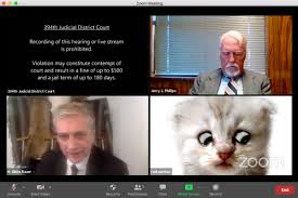 The texas lawyer (and his actual human face) appeared on today wednesday, a day after he left the country in. Zoom Court Cat Video The West Texas Lawyer Who Accidentally Used A Kitten Filter On His Viral Court Moment