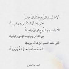 شعر قيس بن الملوح ألا يا نسيم الريح حكمك جائر عالم الأدب Arabic Quotes Photo Quotes Quotes