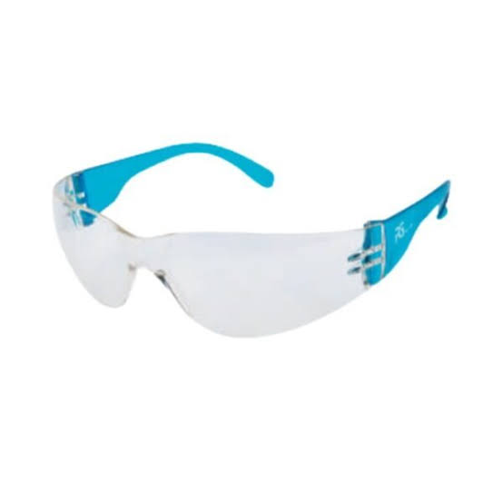 RAGA - PG40 | Clear Lens Safety Goggles (Pack of 10)