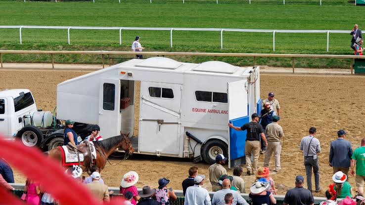 Kentucky Derby week horse deaths at Churchill is reason to hate racing