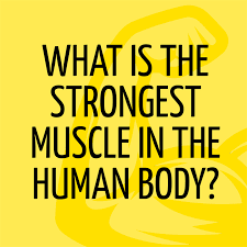 This is a science quiz for class 6th! Can You Answer These 10 Questions Every 6th Quizzclub