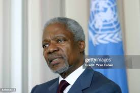 19 Cofi Stock Photos, High-Res Pictures, and Images