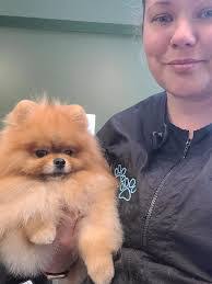 Sandra Millikin's Instagram, Twitter & Facebook