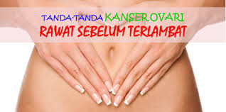 Barah ovari popular dengan gelaran pembunuh senyap bagi golongan wanita dan merupakan bentuk kanser yang paling berbahaya. Ketahui Tanda Awal Kanser Ovari Dan Cara Merawatnya