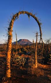 Este lugar le ofrece variedad de restaurantes, cafés y hoteles. Arched Sirio Baja Sierra By Eduardo Zepeda 500px Marketplace Baja California Mexico Baja California Places To Visit