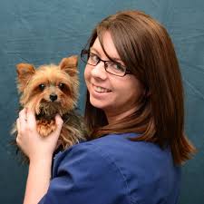 THE BEST 10 VETERINARIANS near PLEASANT PLAINS, IL 62677