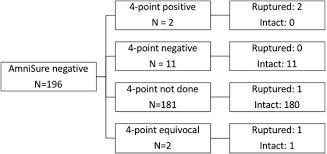 Image result for AmniSure ROM Test