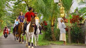 Hasil gambar untuk horse riding BALI