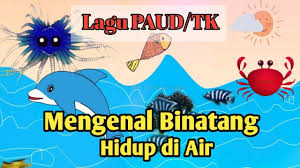 Faktor yang menyumbang kepada penentangan tok janggut terhadap british fakulti bahasa dan linguistik um fakulti sains universiti malaya faktor yang mempengaruhi personaliti faktor yang mempengaruhi pengangkutan dasar kerajaan falling head permeability test pdf fakulti sains sukan upsi fakulti seni lukis dan seni reka. Lagu Binatang Hidup Di Air Tema Binatang Tk Paud Bdr Daring Terbaru 2020 Youtube