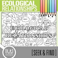 Work answer key, ecological relationship pogil answer, succession pogil. Ecological Relationships Activity Worksheets Tpt