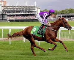 The story of beautiful jim key takes a different turn. 150 Historical Horse Names For Famous Racehorses Petpress Horse Names Horses Horse Racing