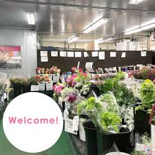 Buy where the florists buy. Wholesale Watanabe Floral Inc