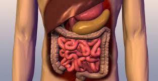 Maybe you would like to learn more about one of these? Cum Sa Iti Pastrezi Sanatatea Aparatului Digestiv Nutrivision