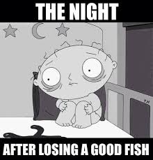 Funny Fishing Memes Part 1 Respect The Fish Funny Fishing Memes Fishing Memes Fishing Humor