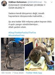 Avustralya Da Yanginlar Haftalardir Devam Ediyor 2020 Avustralya Hayvan Yangin