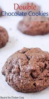 chocolate chocolate chip cookies recipe real food recipes chocolate chip cookies recipes