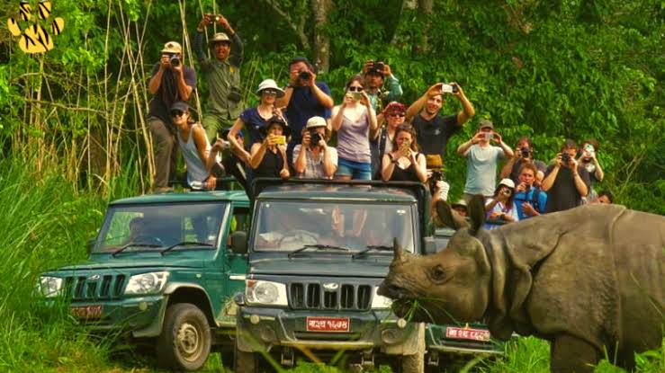 Chitwan Jungle Safari 3 Night 4 Days