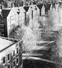 The Residential Quad - Vassar Encyclopedia - Vassar College