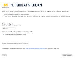 Nursing At Michigan Performance Evaluations