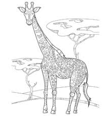 An adult coloring book of 40 zentangle giraffe designs with henna, paisley and mandala style patterns (animal coloring books for adults) (volume 26) adult coloring world 4.6 out of 5 stars 160 Mandala Giraffe Vector Images 21