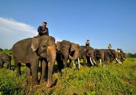 Contoh descriptive text tentang kamar tidur. 5 Contoh Descriptive Text Tentang Tempat Wisata Tourism Place Dalam Bahasa Inggris Dan Artinya Jagoan Bahasa Inggris