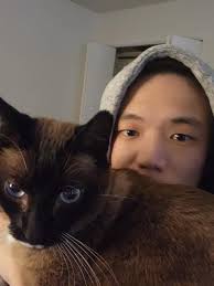 URGENT LEASE TAKEOVER*** 2 newly renovated bedrooms available out of 4x2  apartment at the Commons at Sawmill. Super clean roommates (2) and pet  friendly. Perfect for a couple or friends. You will