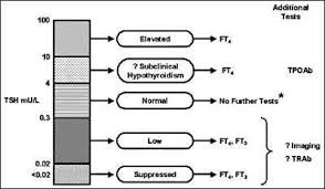Image result for Thyroid Function Test