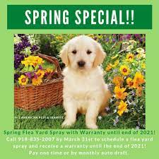 The terminix tulsa branch is staffed by service professionals who know local pest problems inside and out. A 1 American Pest And Termite Home Facebook