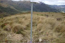 En_PÁRAMOS DE PACAIPAMPA (PE-PAC)