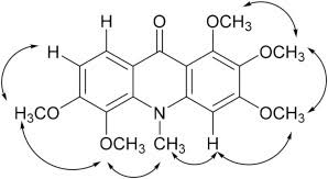 Image result for Vepris bremekampii