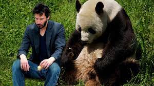 20 Best Sad Keanu Reeves Memes Youtube