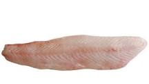 Image result for what fish is most like halibut