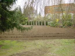 Eine selbstangetriebene maschine, mit der sich problemlos gräben in feste bodensorten fräsen lassen. Rasenerneuerung Mit Umkehrfrase Haus Garten Service Bad Oeynhausen