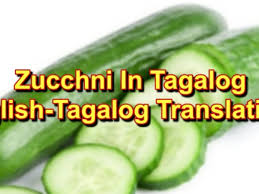 What is zucchini in hindi called. Zucchini In Tagalog English To Tagalog Translations