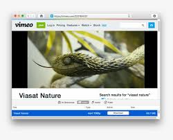 Start by opening a web browser on your computer and launching the vimeo site, then find the video you'd like to download. Download Instagram Video Mac Vimeo Transparent Png 800x603 Free Download On Nicepng