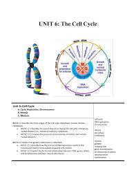 Here i will walk you through the first part of completing activity c of the. Gregory Mendel 1822 1884 The Discoverer Of The Gene And The