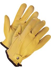 Image result for Doeskin 1983 Roper