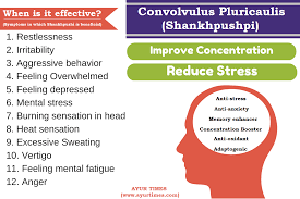 We did not find results for: Ashwagandha Benefits Uses Dosage Side Effects Ayur Times