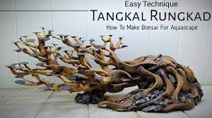Pin By Sharath On Diy Driftwood In 2021 Aquascape Bonsai Hardscape