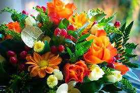 100% gratis, nessun costo aggiuntivo! Idee E Suggerimenti Per Regalare Fiori A San Valentino Il Fiore Di Francesco Marta