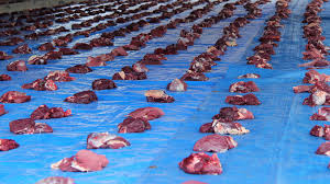 Maybe you would like to learn more about one of these? Bolehkah Daging Qurban Di Bagikan Ke Non Muslim Berikut Penjelasan Uas