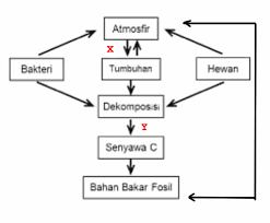 We did not find results for: Perhatikan Skema Daur Karbon Berikut Proses X Dan Y Pada Skema Tersebut Adalah Blog Pak Pandani