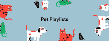 Spotify, with help from musicologist david teie. Spotify Has The Pawfect Playlist For You And Your Pet Spotify