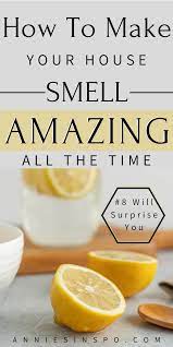 How To Make Your House Smell Good All The Time House Smell Good Smell Good House Smell