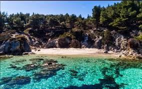 Έπειτα ακολούθησαν οι μέδουσες και οι αφροί που εμφανίστηκαν από άκρη σε άκρη των παραλιών κυρίως στο δεύτερο πόδι στην χαλκιδική. 3 Paralies Sth Xalkidikh Poy Ta3ideyoyn Se Merh Makrina