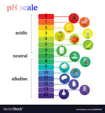 ph scale diagram with corresponding acidic or