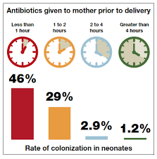 Image result for Group B Streptococcus Prophylaxis