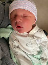 My husband did some predator control this morning.