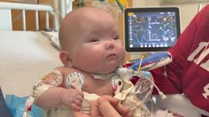 On Tuesday afternoon Emi Meeks, 7, knew exactly how many days it was until  Christmas